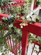 IMG-3673