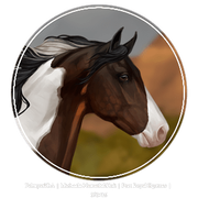 Untitled209-20250323182448-optimized