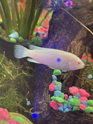 F7CB7610-DA0C-404D-859C-8996AE27B933