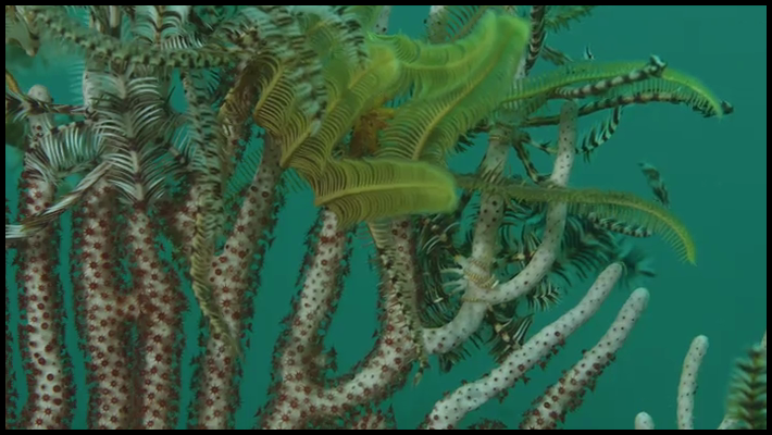 [Image: 139nkrdud0ur.png]