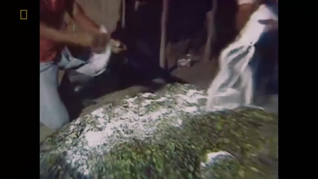 [Image: r5za6m3fwd5l.jpg]