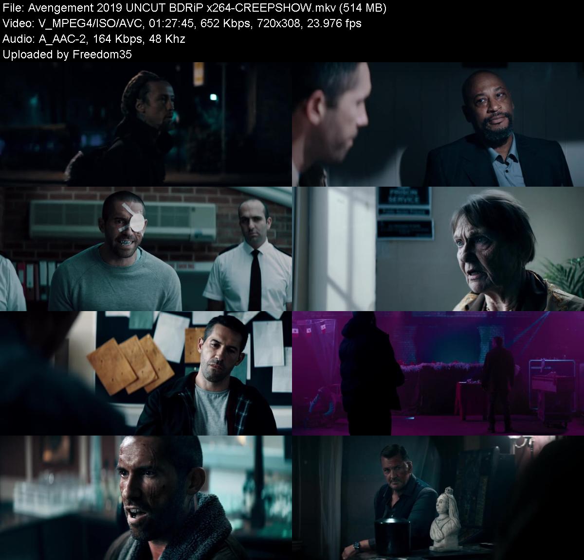 Avengement-2019-UNCUT-BDRi-P-x264-CREEPS