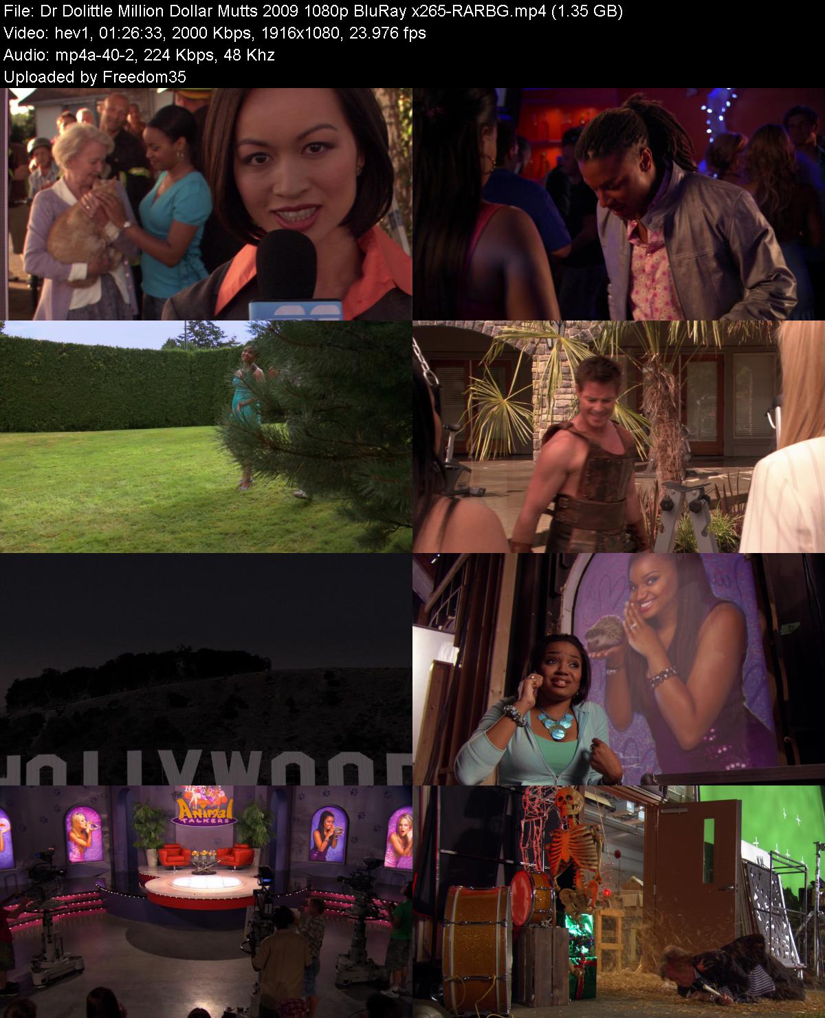Dr-Dolittle-Million-Dollar-Mutts-2009-10