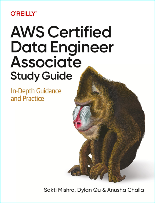 AWS Certified Data Engineer Associate Study Guide In Depth Guidance And Practice TrueRetail PDF (Sakti Mishra;Dylan Qu;Anusha Challa;)
