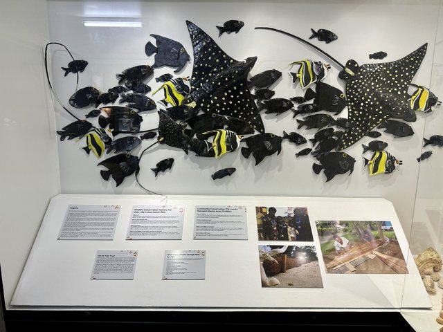 [Linked Image from i.postimg.cc]