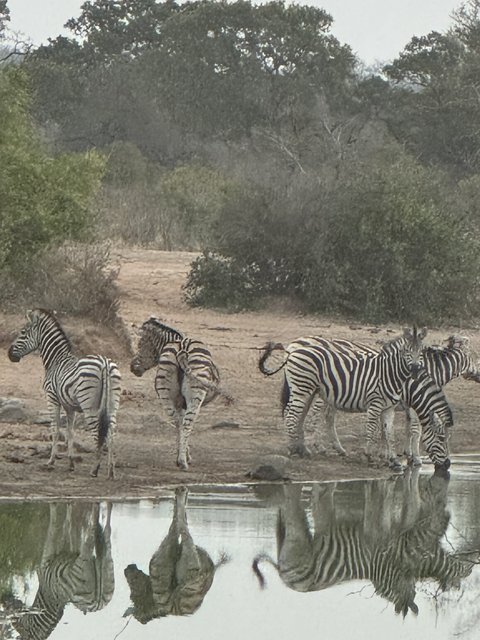 [Linked Image from i.postimg.cc]