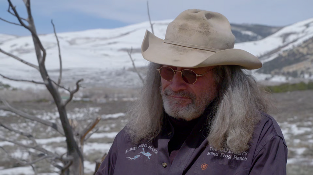 [Image: 6201ucowcowr.png]