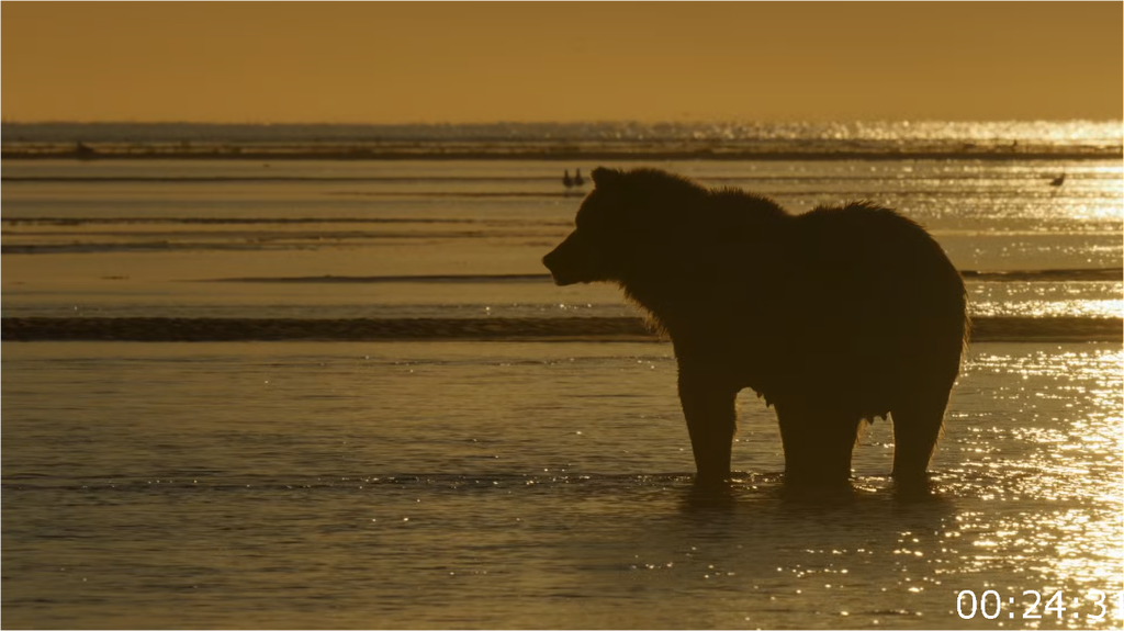 [Image: 5tqo7clthi72.png]