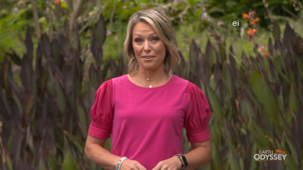 [Image: yf2p8k71kgdx.png]