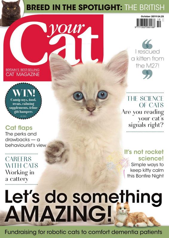 Your-Cat-Magazine-October-2019.jpg