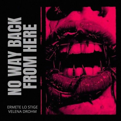 Ermete-Lo-Stige-No-Way-Back-From-Here-40