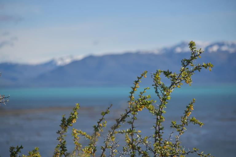 В джазе только девушки или аргентинско-бразильский калейдоскоп В джазе только девушки или аргентинско-бразильский калейдоскоп