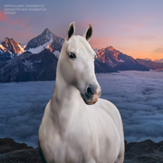 Dizzy heights | Stable Avi