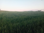 IMG-b7f10fe0ff6db16967029fa719c3e8ac-V