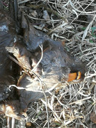 IMG-20200509-195711