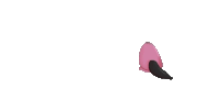 https://i.postimg.cc/fJ8tKPvK/IMG-7648.gif