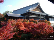 photo 3 2026 01 03 21 17 28