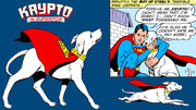 krypto2wp