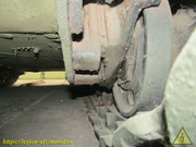 IMG-8667