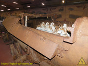 DSCN3542