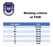Marking criteria at TIUE
