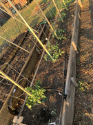 B34F2574-9FF0-4830-A58D-66A20DA6749E