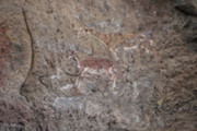 IMG-0728