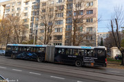 IMG-1273