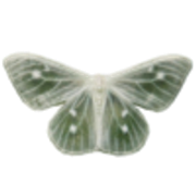 tumblr-fd8b1797f99318adf24d2b4e12dad4a1-3d5c96c3-250