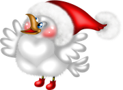 Christmas-in-Forest29