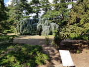 23 Никитский сад