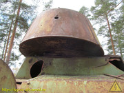 IMG-6428