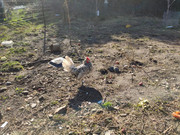 IMG-20210301-WA0002