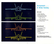 McDonnell FA-18 Hornet33