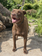 IMG_20230706_152046_958