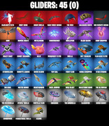 gliders-comp