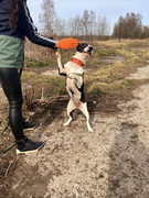 IMG_20230415_233128_598