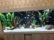 7143F3A4-A5FA-4F11-98C6-79AC1B4E42E3