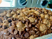 DD219415-2A4E-4720-96DB-B614C34232C3