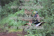 IMG-6584