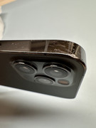 IMG-6549