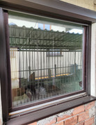 IMG-20230316-103406