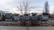 IMG-5168