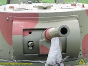 IMG-3660