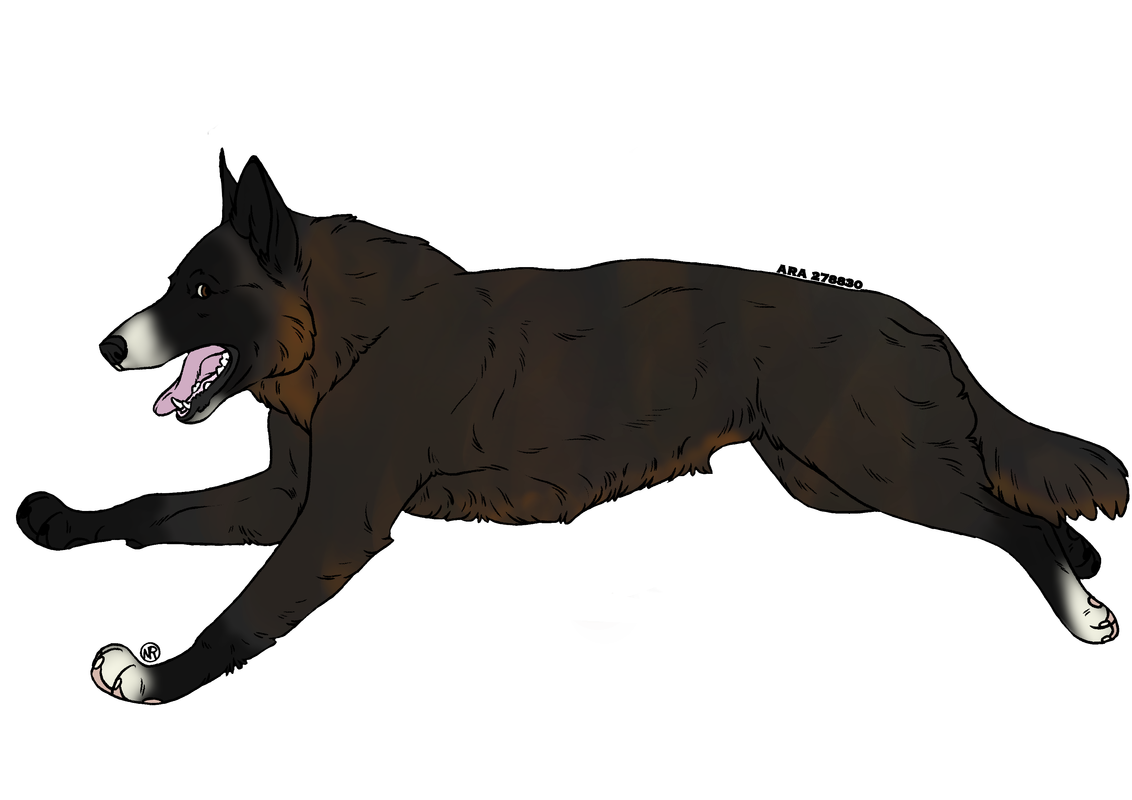 Curse-Adult.png