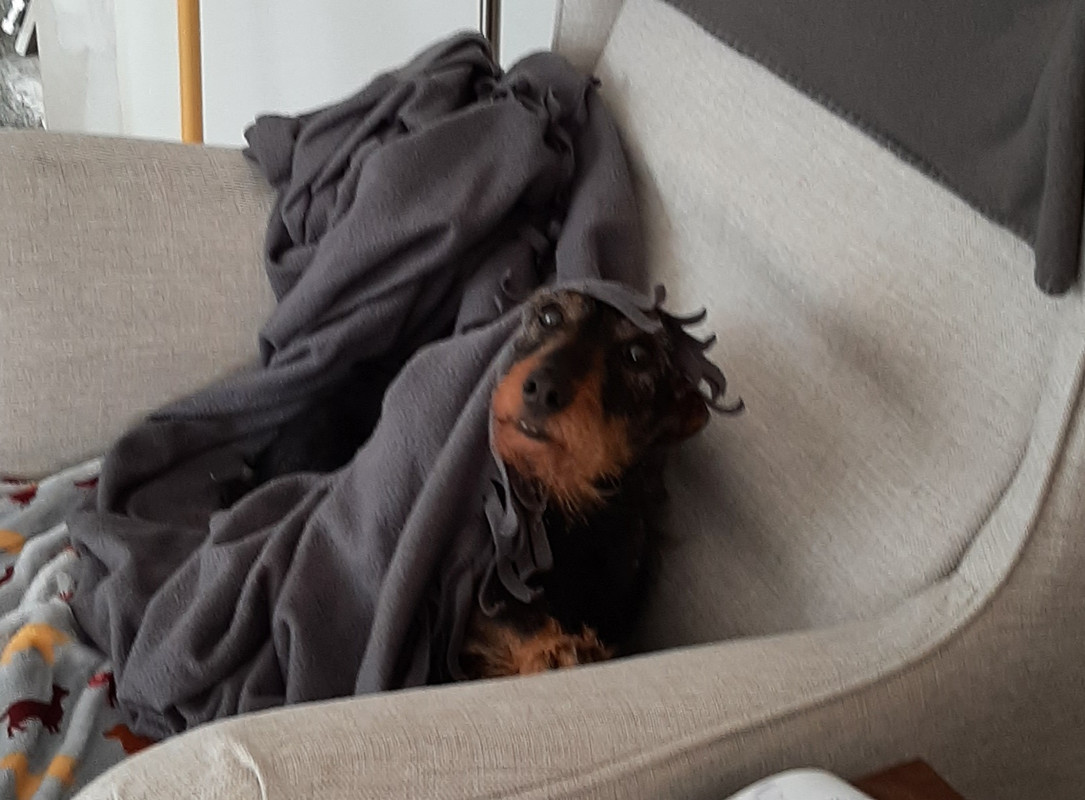 [Image: 04-2021.jpg]