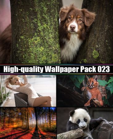 High-quality Wallpaper Pack 023