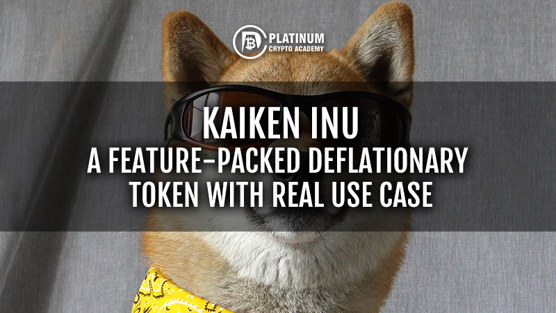 KAIKEN-INU-A-FEATURE-PACKED-DEFLATIONARY