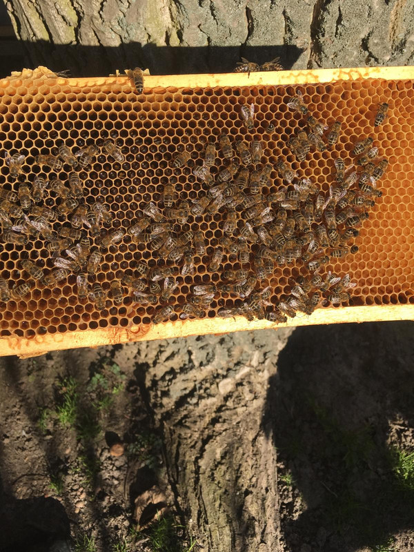 AB60AB4F-FC82-4049-B6D2-3EAE40F9D8F1