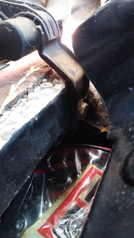 [Image: IMG-20250630-140916932.jpg]